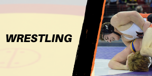 Wrestling Icon 
